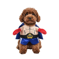 Boxer Costume | Pets