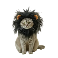 Lion Mane Costume | Cats