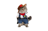 Cowboy Denim Costume | Pets