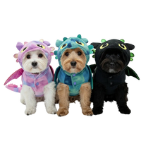 Dragon Costume | Pets