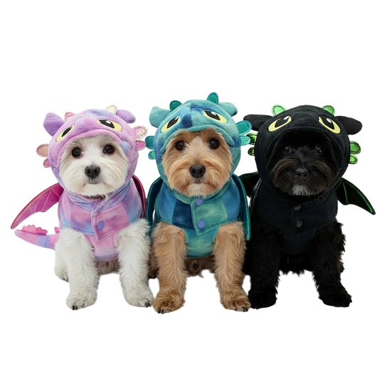 Three dogs wearing dragon transformation costumes in pink, blue, and black, transparent background