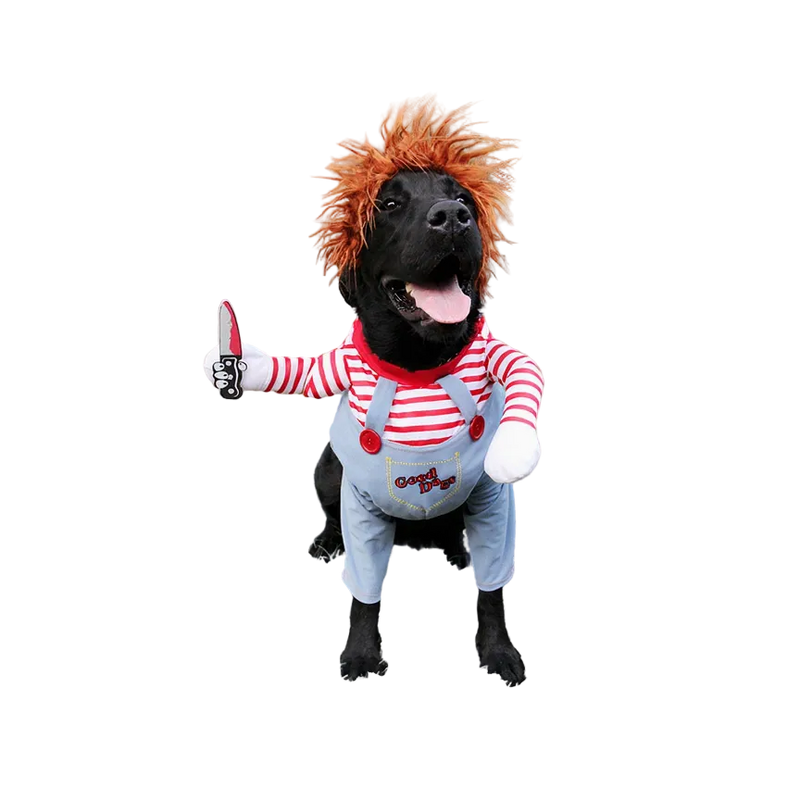 Black dog wearing a Killer Doll Halloween costume with red and white striped shirt, denim overalls, orange wig, and foam knife prop, transparent background