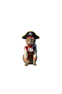 Pirate Costume | Pets