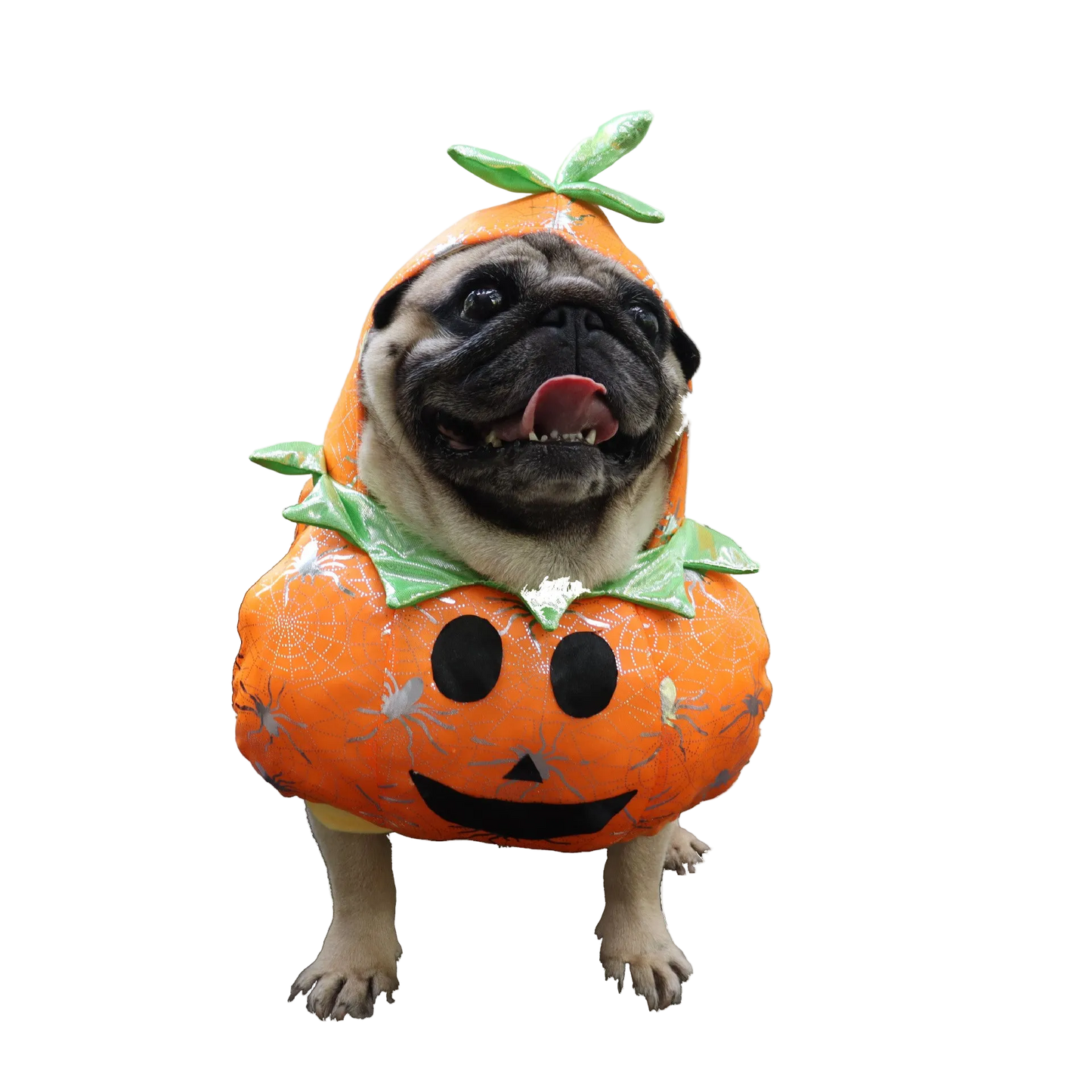 Pumpkin Halloween Costume for Dogs and Cats