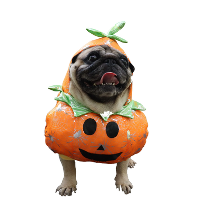 Pumpkin Halloween Costume for Dogs and Cats