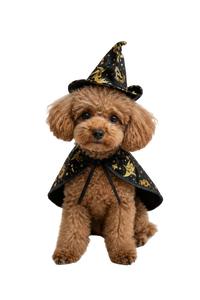 Witch Cloak & Hat Halloween Costume | Pets
